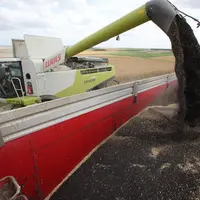 FRANCE: Agriculture moisson des colza 
Agriculteur moissonnant des colzas dans les plaines cerealieres de la Marne avec une mo