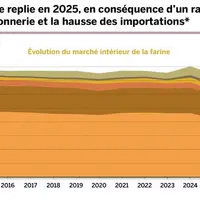 Graphique d'évolution du marché intérieur de la farine en France de 2015 à 2025