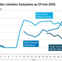 Graphique prix blé orge maïs France au 29 mai 2026