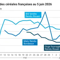 Graphique prix blé maïs orge France au 5 juin 2026
