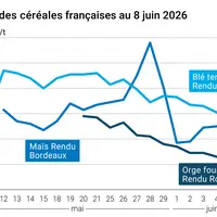 Graphique prix blé maïs orge France au 8 juin 2026