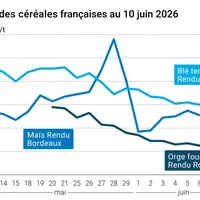 Graphique prix blé maïs orge France au 10 juin 2026