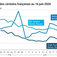 Graphique prix blé maïs orge France au 16 juin 2026