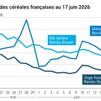 Graphique prix blé maïs orge France au 17 juin 2026