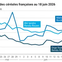 Graphique prix blé maïs orge France au 18 juin 2026