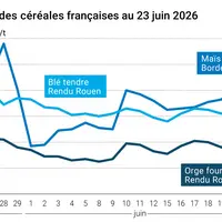 Graphique prix blé maïs orge France au 23 juin 2026