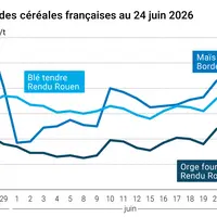 Graphique prix blé maïs orge France au 24 juin 2026