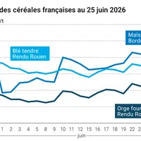 Graphique prix blé maïs orge France au 25 juin 2026