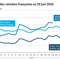 Graphique prix blé maïs orge France au 29 juin 2026
