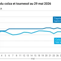 Graphique prix colza tournesol France au 29 mai 2026