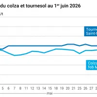 Graphique prix colza tournesol France au 1er juin 2026
