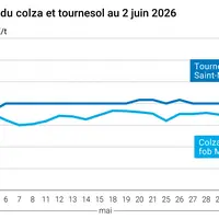 Graphique prix colza tournesol France au 2 juin 2026