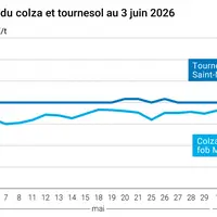 Graphique prix colza tournesol France au 3 juin 2026