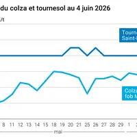 Graphique prix colza tournesol France au 4 juin 2026