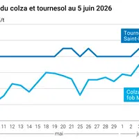Graphique prix colza tournesol France au 5 juin 2026