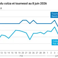 Graphique prix colza tournesol France au 8 juin 2026