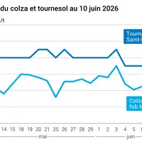 Graphique prix colza tournesol France au 10 juin 2026