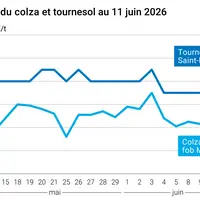 Graphique prix colza tournesol France au 11 juin 2026