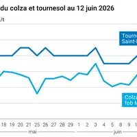 Graphique prix colza tournesol France au 12 juin 2026
