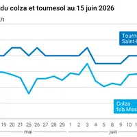 Graphique prix colza tournesol France au 15 juin 2026