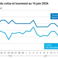 Graphique prix colza tournesol France au 16 juin 2026
