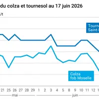 Graphique prix colza tournesol France au 17 juin 2026