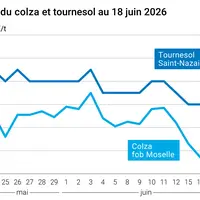 Graphique prix colza tournesol France au 18 juin 2026