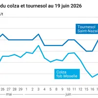 Graphique prix colza tournesol France au 19 juin 2026