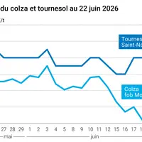 Graphique prix colza tournesol France au 22 juin 2026