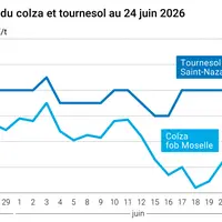 Graphique prix colza tournesol France au 24 juin 2026
