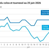 Graphique prix colza tournesol France au 25 juin 2026