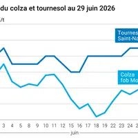 Graphique prix colza tournesol France au 29 juin 2026