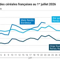 Graphique prix blé maïs orge France au 1er juillet 2026