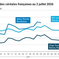 Graphique prix blé orge maïs France au 2 juillet 2026