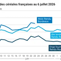 Graphique prix blé maïs orge France au 6 juillet 2026