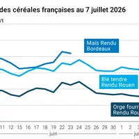 Graphique prix blé maïs orge France au 7 juillet 2026