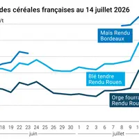 Graphique prix colza tournesol France au 8 mai 2026