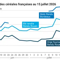 Graphique prix colza tournesol France au 8 mai 2026