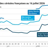 Graphique prix blé orge maïs France au 16 juillet 2026