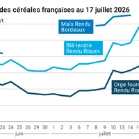 Graphique prix blé orge maïs France au 17 juillet 2026