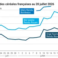 Graphique prix blé orge maïs France au 20 juillet 2026