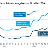 Graphique prix blé maïs France au 21 juillet 2026