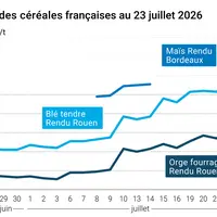Graphique prix blé maïs orge France au 23 juillet 2026