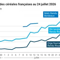 Graphique prix blé maïs orge France au 24 juillet 2026