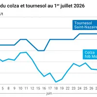 Graphique prix colza tournesol France au 1er juillet 2026