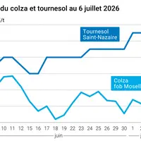Graphique prix colza tournesol France au 6 juillet 2026