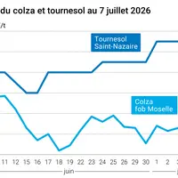 Graphique prix colza tournesol France au 7 juillet 2026