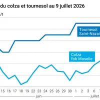 Graphique prix colza tournesol France au 9 juillet 2026
