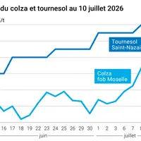 Graphique prix colza tournesol France au 10 juillet 2026