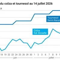 Graphique prix colza tournesol France au 8 mai 2026